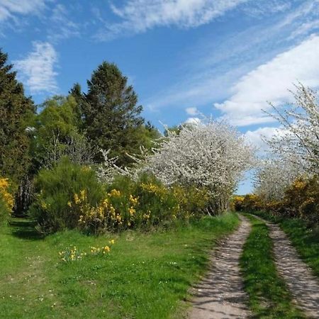 Lower Bruntlands Fochabers Extérieur photo