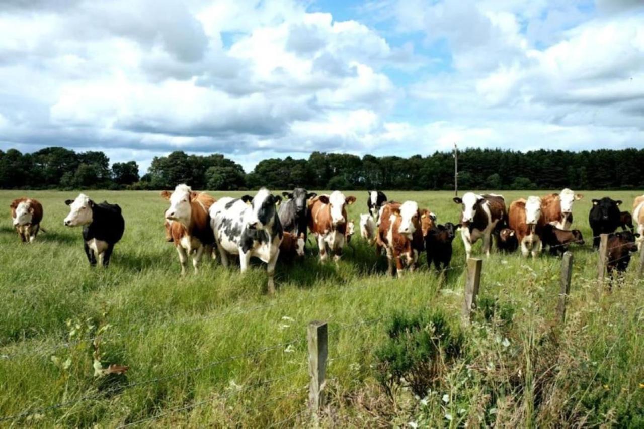 Lower Bruntlands Fochabers Extérieur photo